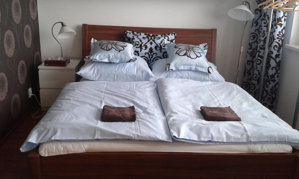 Apartman Drahovice カルロヴィ・ヴァリ 部屋 写真