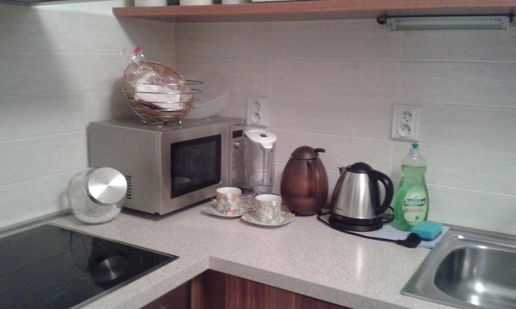 Apartman Drahovice カルロヴィ・ヴァリ 部屋 写真