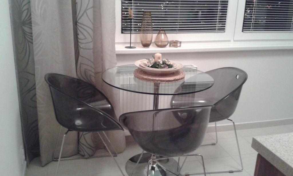 Apartman Drahovice カルロヴィ・ヴァリ 部屋 写真