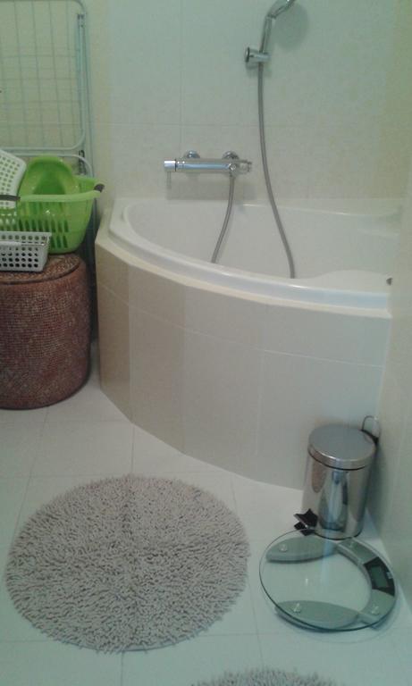 Apartman Drahovice カルロヴィ・ヴァリ 部屋 写真