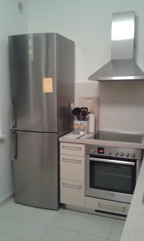 Apartman Drahovice カルロヴィ・ヴァリ 部屋 写真
