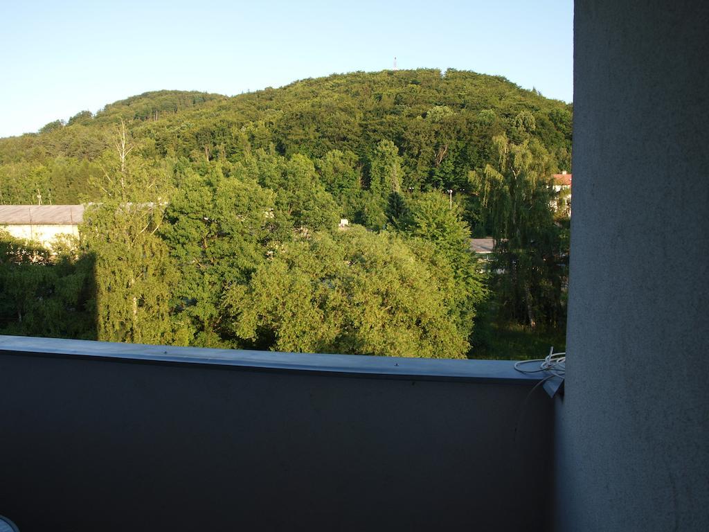 Apartman Drahovice カルロヴィ・ヴァリ エクステリア 写真